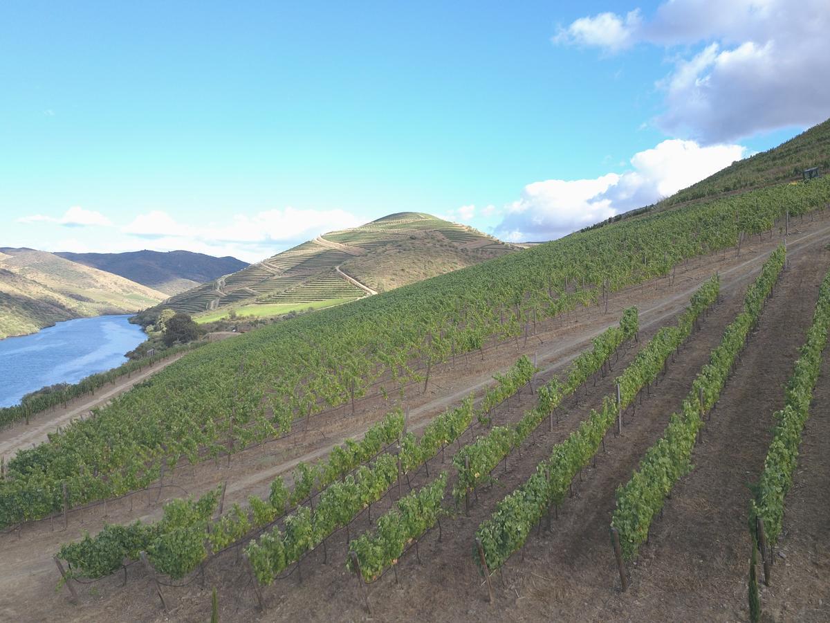 Casa Do Rio - Douro Wine Hotel By Vallado วีลาโนวา เจ ฟอสโก ภายนอก รูปภาพ
